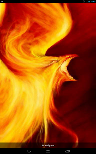 Fiery Predatory Bird Live WP