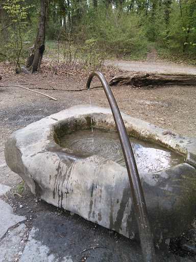 Brunnen Waldfriedhof