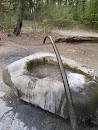 Brunnen Waldfriedhof