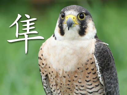 Free Download The Animals Book - Chinese APK for Android