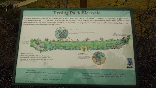 Tussing Park Bioswale