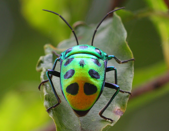 5mH7JEEhNCkD8kNHLp3uubkYip_5w19VCq4H0IQe3I3hdtEHATon3aPtSgZDIXtRptI7vWWrX1zRDJ9NCzeJgQ=s580