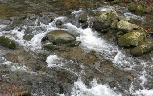 Gatlinburg Stream