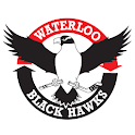 Waterloo Black Hawks