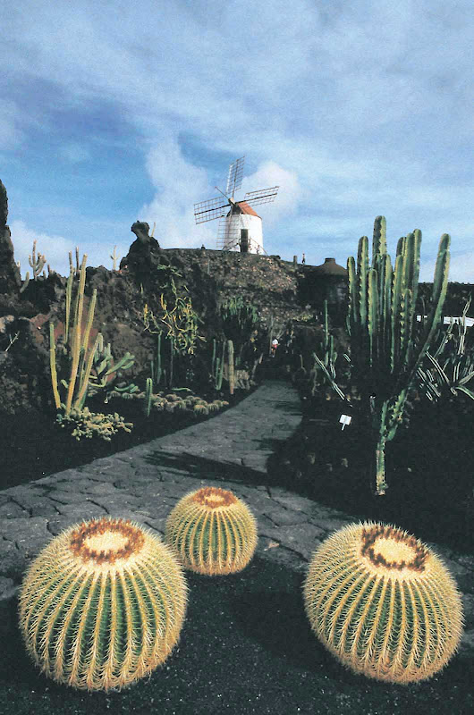 A windmill stands watch over the Cactus Garden in Guatiza, in the municipality of Teguise in the northeastern part of the island of Lanzarote in Las Palmas province in Spain's Canary Islands.