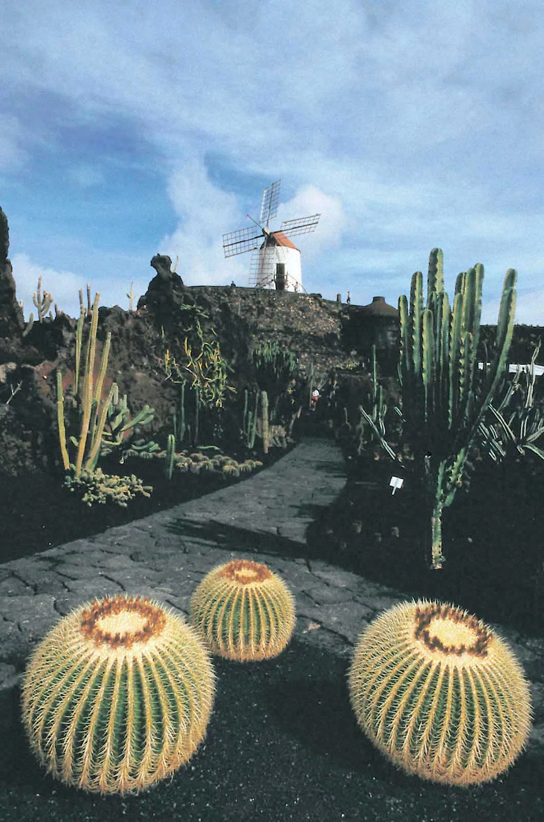 Cactus-Garden-Guatiza-Canary-Islands - A windmill stands watch over the Cactus Garden in Guatiza, in the municipality of Teguise in the northeastern part of the island of Lanzarote in Las Palmas province in Spain's Canary Islands.