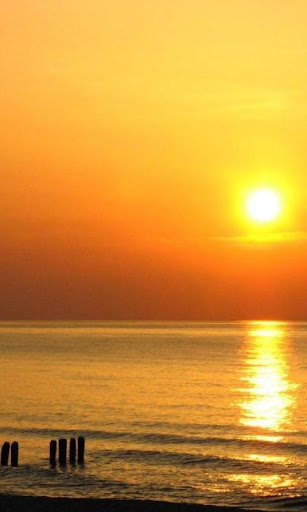 免費娛樂App|300 Free Sunset Pictures App|阿達玩APP