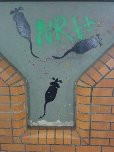 Strassenkunst Ratten