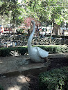 White Swan Statue