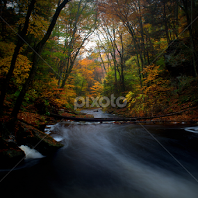 Sullivan Run by Isaac Golding - Landscapes Waterscapes