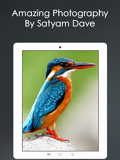 免費下載攝影APP|Satyam Dave Photography app開箱文|APP開箱王