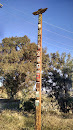 Dawson Canyon Totem Pole