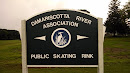 Damariscotta River Association Skating Rink