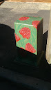 Raspberry Box