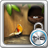 Tia Locker Ani Bird Theme mobile app icon