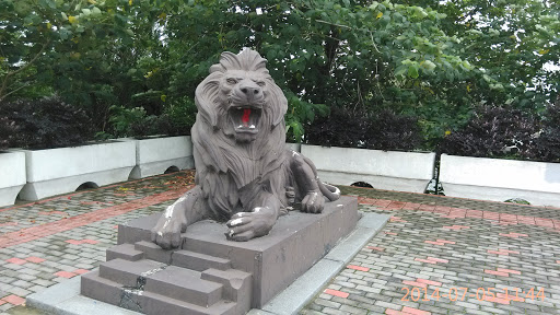 sj 龙兴 Road Lion SW