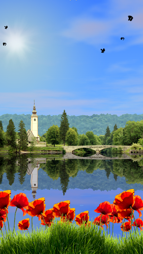 Lake Bohinj Free