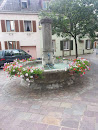 Fontaine Avec Pots De Fleurs