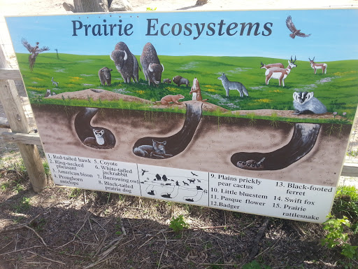 Prairie Ecosystems