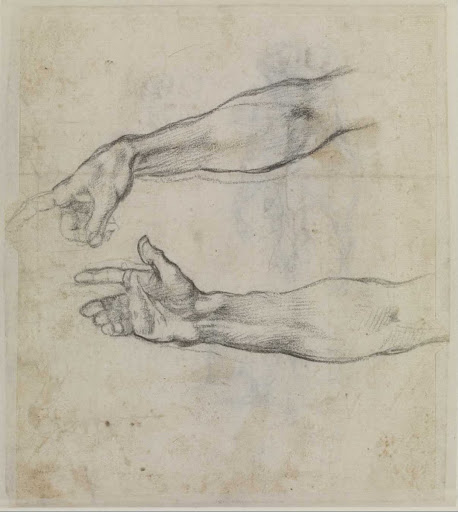 Studies of an outstretched arm for the fresco 'The Drunkenness of Noah' in the Sistine Chapel