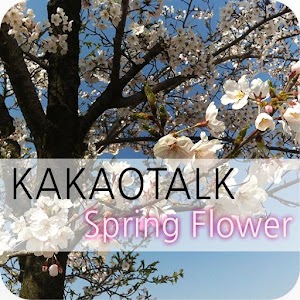 Spring Flower - Kakaotalk