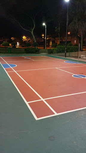 RED AND BLUE BADMINTON COURT
