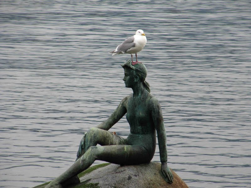 Western x Glaucous-winged Gull