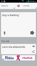 Translator by DIng poster 3