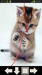 Cute Cat Wallpapers Screenshots 6
