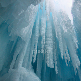 Frozen by Jen Millard - Nature Up Close Water