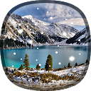 Winter Live Wallpaper mobile app icon