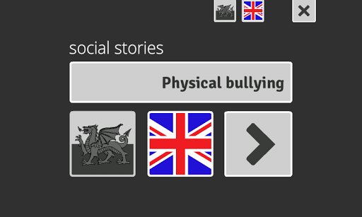 Physical bullying