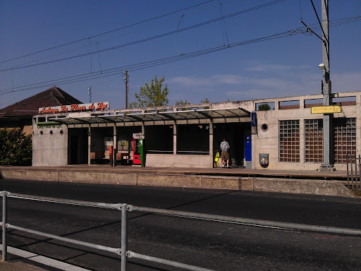 Gare Cery-Fleur-De-Lys