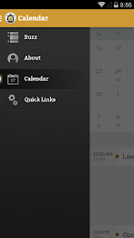 Seton Sting poster 2