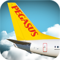 flypgs icon