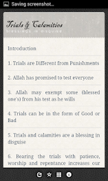 Trials and Calamities poster 2