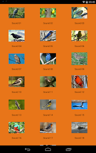 Free Download HD Bird Sounds APK