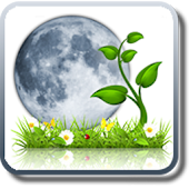 Best calendar widget