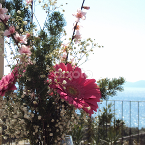 Flowers in vase by Bepina Spužvasta - Flowers Flower Arangements