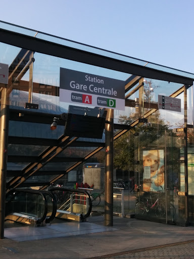 Verrière Gare Centrale