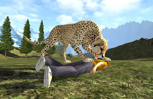 Cheetah Smash Simulator