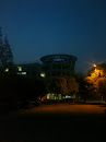 School of Material Science and Engineering