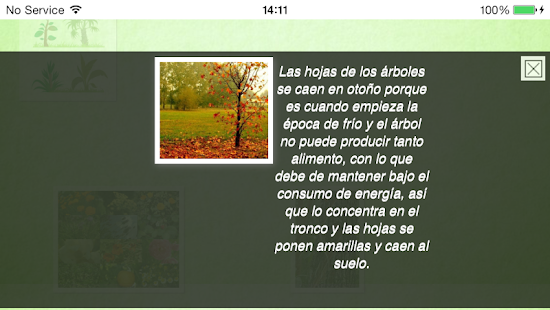 Free ¿Sabías Que? Fotosíntesis APK for Android