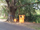 Buddha Statue and Bo Tree Halpandeniya 