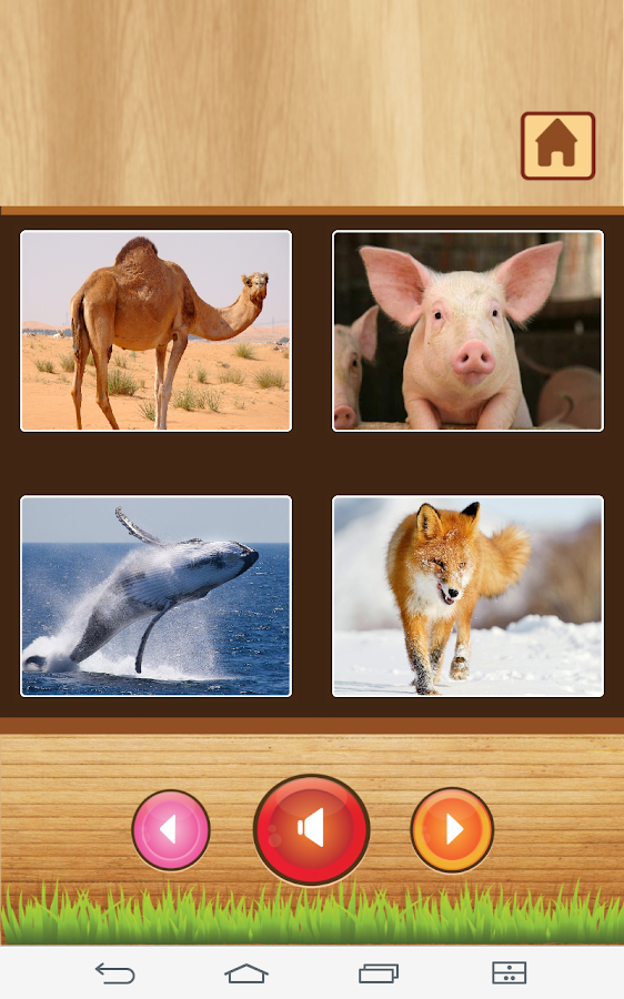 Animal sounds - App for kids - screenshot