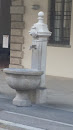 Fontana Municipio