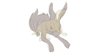hare of the dog