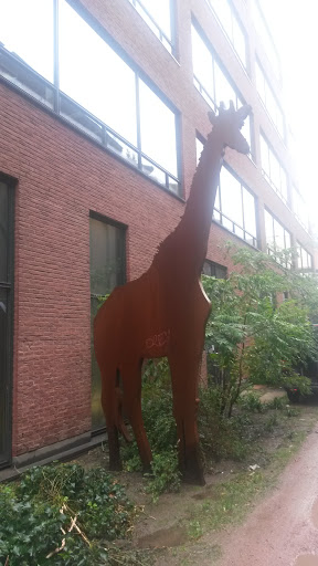 Giraffe Ontsnapt Uit De Zoo