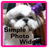 Simple Photo Widget mobile app icon