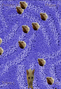 How to get Cat Bastards lastet apk for android